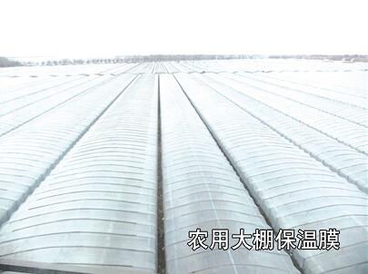 母料在吹膜-工業(yè)、農(nóng)業(yè)、包裝中的運(yùn)用